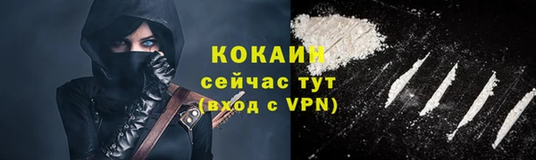 PSILOCYBIN Лагань