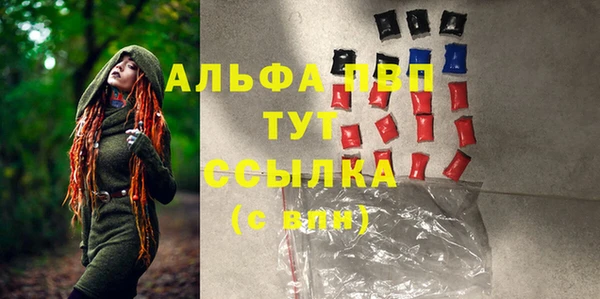 PSILOCYBIN Лагань
