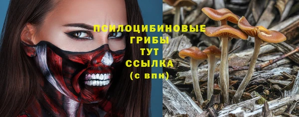 прущая мука Ладушкин